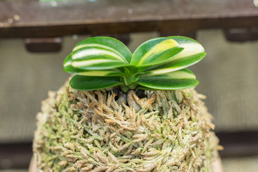 Similar image 20999281