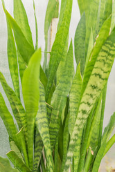 Similar image 20999290