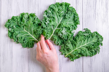 Similar image 20989682