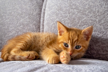 Similar image 20989686