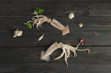 Similar image 21018376