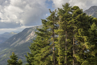 Similar image 20992187