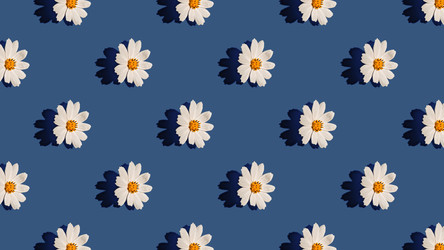 Similar image 20993756