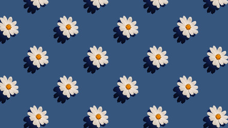 Similar image 20993757