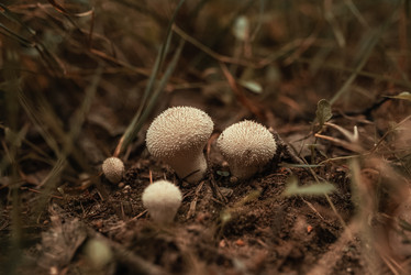 Similar image 20993759