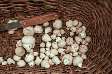 Similar image 20993762