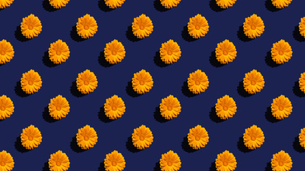 Similar image 20993768