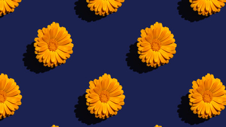 Similar image 20993769