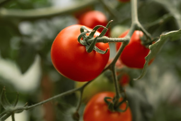 Similar image 20993774