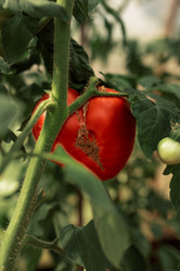 Similar image 20993775