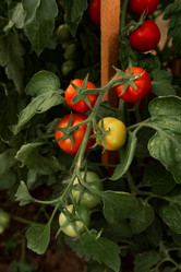 Similar image 20993776