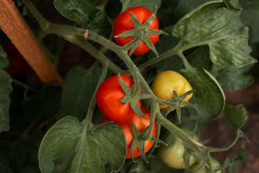 Similar image 20993778