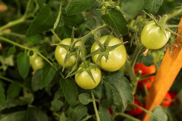 Similar image 20993779