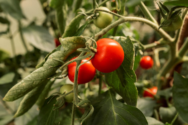 Similar image 20993780