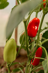 Similar image 20993781