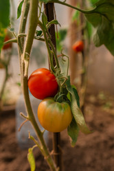 Similar image 20993782