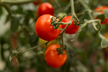 Similar image 20993783