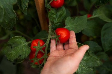 Similar image 20993786