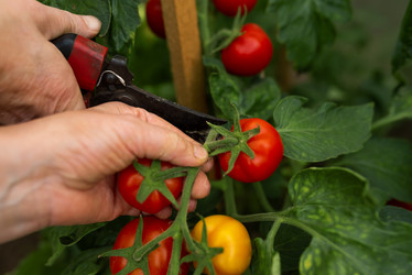 Similar image 20993787