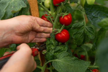 Similar image 20993788