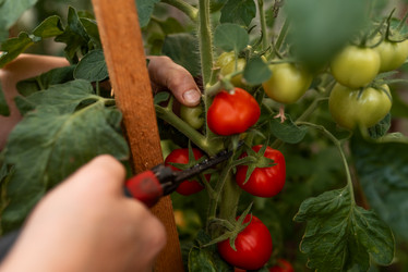 Similar image 20993789