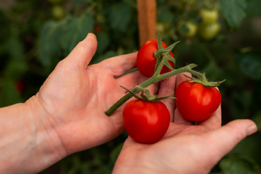 Similar image 20993790