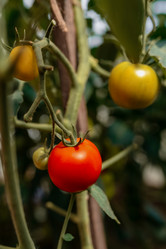 Similar image 20993793