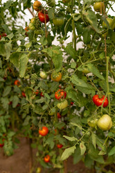 Similar image 20993795