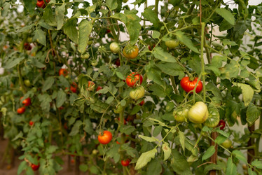 Similar image 20993796