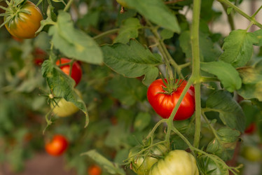 Similar image 20993797