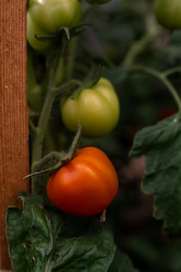 Similar image 20993799