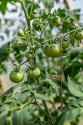 Similar image 20993801