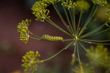 Similar image 20993802