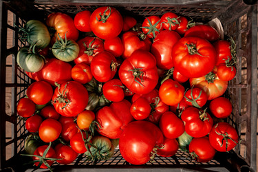 Similar image 20993671