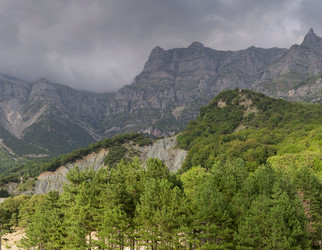 Similar image 21001411