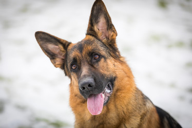 Similar image 20994918