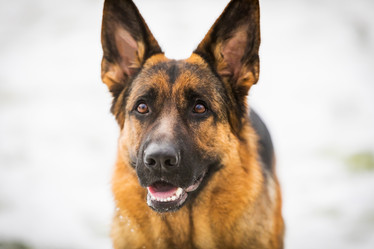 Similar image 20994919