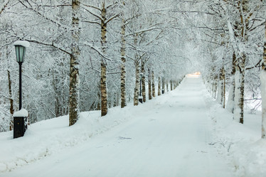 Similar image 20990030