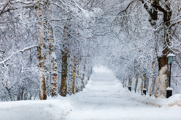 Similar image 20990032