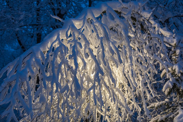 Similar image 20990041