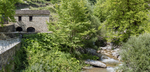 Similar image 21005014