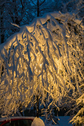 Similar image 20994926