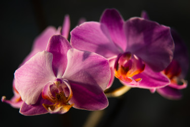 Similar image 20991121