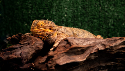 Similar image 20991122