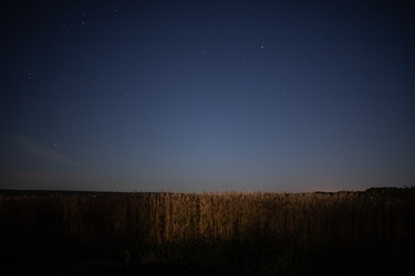 Similar image 20991123