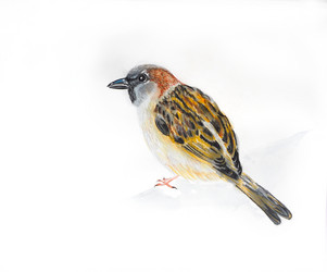 Similar image 20991949