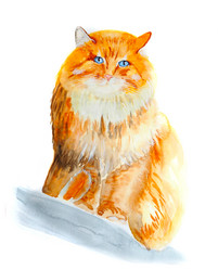 Similar image 20991950