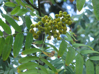 Similar image 20989272