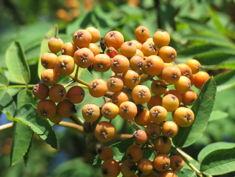 Similar image 20989273