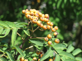 Similar image 20989275